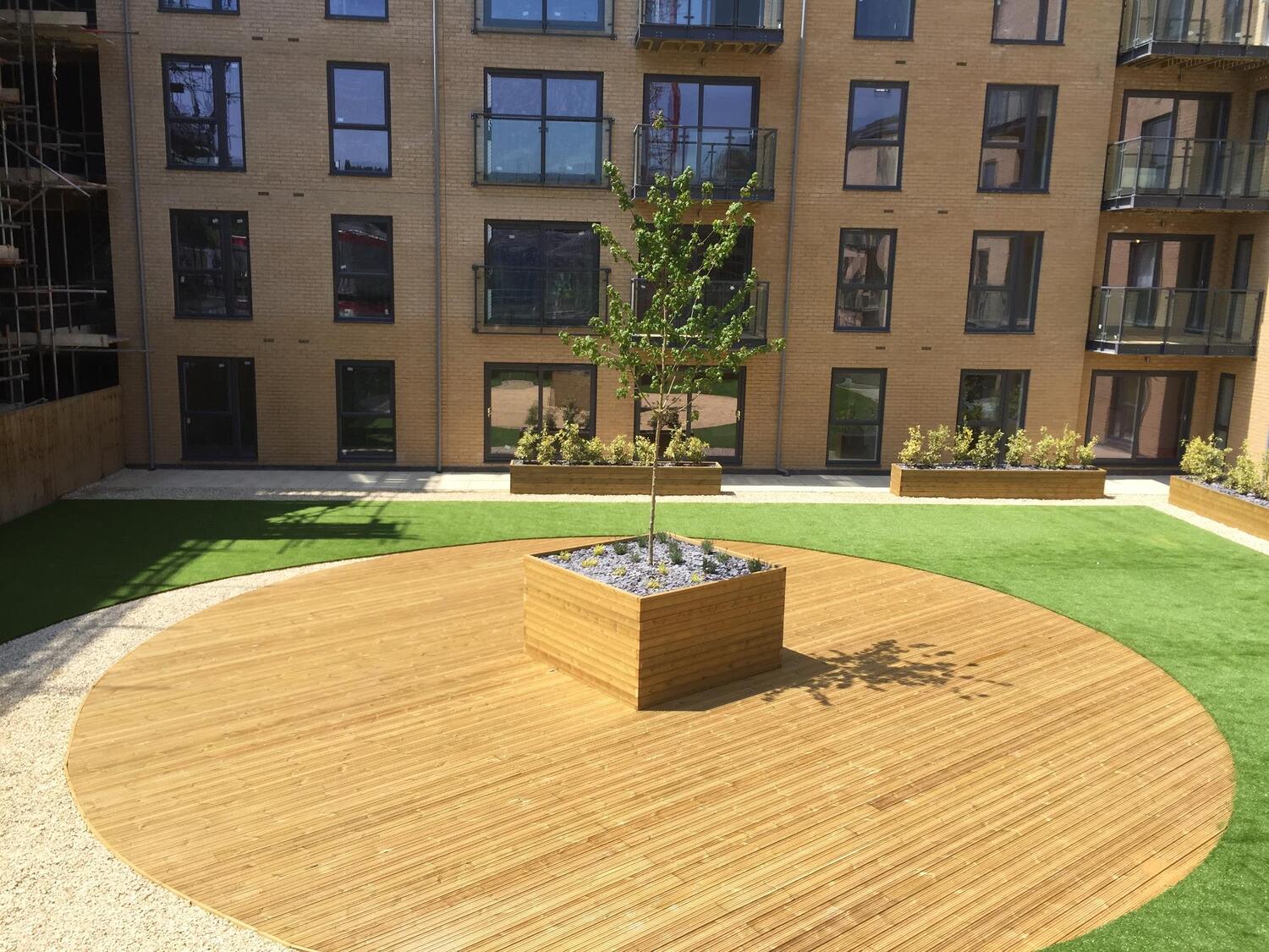 courtyard with a young tree in a raised planter